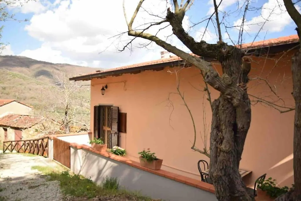 Din'S House Casa Vacanze Castiglion Fiorentino 0*,